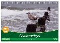 Ostseevögel (Tischkalender 2024 DIN A5 quer), CALVENDO Monatskalender - Angela Münzel-Hashish - Www. Tierphotografie. Com