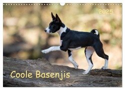 Coole Basenjis (Wandkalender 2025 DIN A3 quer), CALVENDO Monatskalender - Angelika Joswig