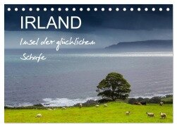 IRLAND - Insel der glücklichen Schafe (Tischkalender 2025 DIN A5 quer), CALVENDO Monatskalender - Ferry Böhme