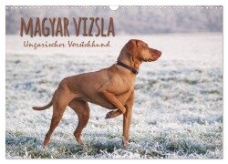 Cover-Bild zum Titel 'Magyar Vizsla - Ungarischer Vorstehhund (Wandkalender 2026 DIN A3 quer), CALVENDO Monatskalender' von 'Alexandra Hollstein'