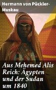 Aus Mehemed Alis Reich: Ägypten und der Sudan um 1840 - Hermann von Pückler-Muskau