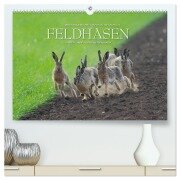Emotionale Momente: Feldhasen (hochwertiger Premium Wandkalender 2025 DIN A2 quer), Kunstdruck in Hochglanz - Ingo Gerlach GDT