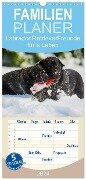 Familienplaner 2024 - Labrador Retriever - Freunde für¿s Leben mit 5 Spalten (Wandkalender, 21 x 45 cm) CALVENDO - Sigrid Starick
