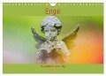 Engel - Begleiter für jeden Tag (Wandkalender 2024 DIN A4 quer), CALVENDO Monatskalender - Fotodesign Verena Scholze