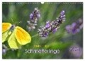 Zauberhafte Schmetterlinge (Wandkalender 2024 DIN A3 quer), CALVENDO Monatskalender - Ela May