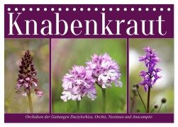 Knabenkraut (Tischkalender 2026 DIN A5 quer), CALVENDO Monatskalender - Sabine Löwer
