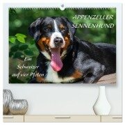 Cover-Bild zum Titel 'Appenzeller Sennenhund - Ein Schweizer auf 4 Pfoten (hochwertiger Premium Wandkalender 2026 DIN A2 quer), Kunstdruck in Hochglanz' von 'Sigrid Starick'