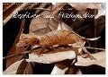 Reptilien auf Madagaskar (Wandkalender 2024 DIN A3 quer), CALVENDO Monatskalender - Benny Trapp