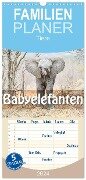 Familienplaner 2024 - Babyelefanten mit 5 Spalten (Wandkalender, 21 x 45 cm) CALVENDO - Robert Styppa