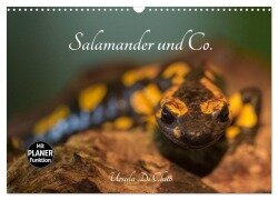 Salamander und Co. (Wandkalender 2025 DIN A3 quer), CALVENDO Monatskalender - Ursula Di Chito