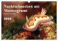 Nacktschnecken am Meeresgrund (Wandkalender 2024 DIN A3 quer), CALVENDO Monatskalender - Bianca Schumann