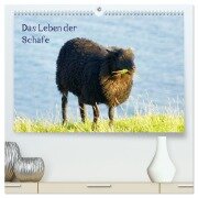 Das Leben der Schafe (hochwertiger Premium Wandkalender 2025 DIN A2 quer), Kunstdruck in Hochglanz - Kattobello Kattobello