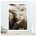Schafe - 12 Monate in der Herde (hochwertiger Premium Wandkalender 2024 DIN A2 hoch), Kunstdruck in Hochglanz - Stefanie Und Philipp Kellmann