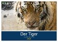 Der Tiger - die größte Katze der Welt (Tischkalender 2024 DIN A5 quer), CALVENDO Monatskalender - Cloudtail The Snow Leopard