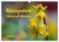 Blütensymphonie - Kakteen und Sukkulenten (Wandkalender 2024 DIN A3 quer), CALVENDO Monatskalender - Ursula Di Chito