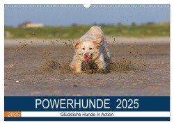 POWERHUNDE 2025 (Wandkalender 2025 DIN A3 quer), CALVENDO Monatskalender - Annett Mirsberger