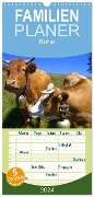 Familienplaner 2024 - Kühe mit 5 Spalten (Wandkalender, 21 x 45 cm) CALVENDO - Elisabeth Stanzer