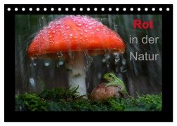 Rot in der Natur (Tischkalender 2025 DIN A5 quer), CALVENDO Monatskalender - Günter Bachmeier