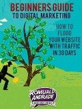 Beginners Guide to Digital Marketing: How To Flood Your Website With Traffic in 30 days - Romuald Andrade