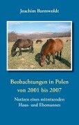 Beobachtungen in Polen - Joachim Barmwoldt