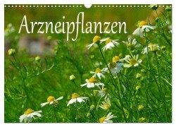 Arzneipflanzen (Wandkalender 2026 DIN A3 quer), CALVENDO Monatskalender - LianeM LianeM