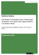 Das Kapitel "Atemzüge eines Sommertags" im Roman "Der Mann ohne Eigenschaften" von Robert Musil - Katharina Stabrey