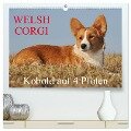 Welsh Corgi - Kobold auf 4 Pfoten (hochwertiger Premium Wandkalender 2024 DIN A2 quer), Kunstdruck in Hochglanz - Sigrid Starick