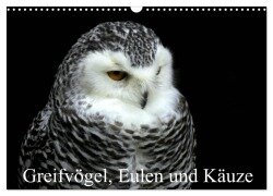 Greifvögel, Eulen und Käuze (Wandkalender 2026 DIN A3 quer), CALVENDO Monatskalender - Arno Klatt