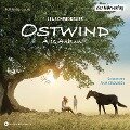 Ostwind - Aris Ankunft - Lea Schmidbauer