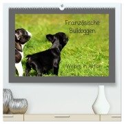 Französische Bulldoggen (hochwertiger Premium Wandkalender 2025 DIN A2 quer), Kunstdruck in Hochglanz - Heike Hultsch