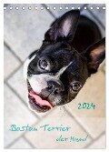 Boston Terrier der Hund 2024 (Tischkalender 2024 DIN A5 hoch), CALVENDO Monatskalender - Nailia Schwarz