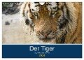 Der Tiger - die größte Katze der Welt (Wandkalender 2024 DIN A4 quer), CALVENDO Monatskalender - Cloudtail The Snow Leopard