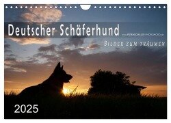 Cover-Bild zum Titel 'Deutscher Schäferhund / CH-Version (Wandkalender 2025 DIN A4 quer), CALVENDO Monatskalender' von 'Petra Schiller'