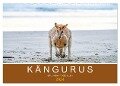Kängurus, sprunghafte Gesellen (Wandkalender 2024 DIN A2 quer), CALVENDO Monatskalender - Robert Styppa