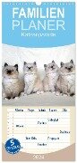 Familienplaner 2024 - Katzenparade mit 5 Spalten (Wandkalender, 21 x 45 cm) CALVENDO - Jennifer Chrystal