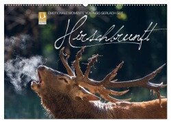 Cover-Bild zum Titel 'Emotionale Momente: Hirschbrunft (Wandkalender 2026 DIN A2 quer), CALVENDO Monatskalender' von 'Ingo Gerlach GDT'