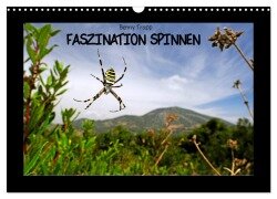 Faszination Spinnen (Wandkalender 2025 DIN A3 quer), CALVENDO Monatskalender - Benny Trapp