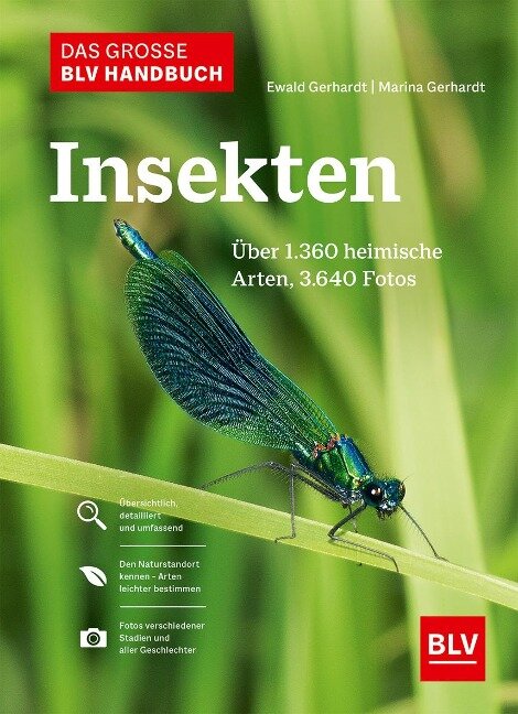 Das große BLV Handbuch Insekten - Marina Gerhardt, Ewald Gerhardt