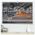 Tiger von Ranthambore (hochwertiger Premium Wandkalender 2025 DIN A2 quer), Kunstdruck in Hochglanz - Robert Styppa