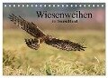 Wiesenweihen in Deutschland (Tischkalender 2024 DIN A5 quer), CALVENDO Monatskalender - Martin Wenner