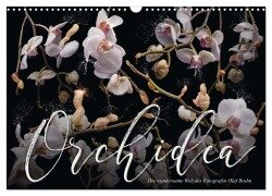 Orchidea (Wandkalender 2026 DIN A3 quer), CALVENDO Monatskalender - Olaf Bruhn