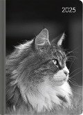 Lady Journal Cat 2025 - Taschenkalender A6 (10,7x15,2 cm) - Weekly - 192 Seiten - Notiz-Buch - Termin-Planer - Alpha Edition - 