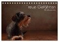Treue Gefährten - Hundeportraits (Tischkalender 2024 DIN A5 quer), CALVENDO Monatskalender - Jana Behr