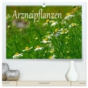 Arzneipflanzen (hochwertiger Premium Wandkalender 2025 DIN A2 quer), Kunstdruck in Hochglanz - LianeM LianeM