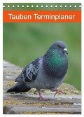 Tauben Terminplaner (Tischkalender 2024 DIN A5 hoch), CALVENDO Monatskalender - Kattobello Kattobello