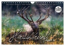 Emotionale Momente: Hirschbrunft. Part II. (Wandkalender 2025 DIN A4 quer), CALVENDO Monatskalender - Ingo Gerlach GDT