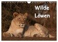 Wilde Löwen (Wandkalender 2024 DIN A4 quer), CALVENDO Monatskalender - Britta Ohm
