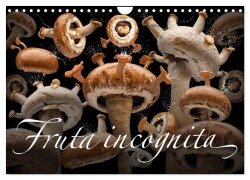 Fruta incognita - Die wundersame Welt des Fotografen Olaf Bruhn (Wandkalender 2026 DIN A4 quer), CALVENDO Monatskalender - Olaf Bruhn