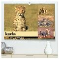 Geparden - Begegnungen in Afrika (hochwertiger Premium Wandkalender 2024 DIN A2 quer), Kunstdruck in Hochglanz - Michael Herzog