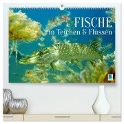 Fische in Teichen und Flüssen (hochwertiger Premium Wandkalender 2026 DIN A2 quer), Kunstdruck in Hochglanz - Calvendo Calvendo